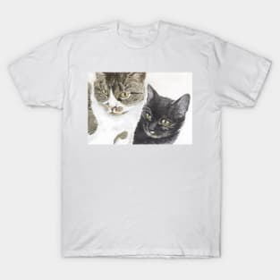 Two cats - tabby and tortie T-Shirt